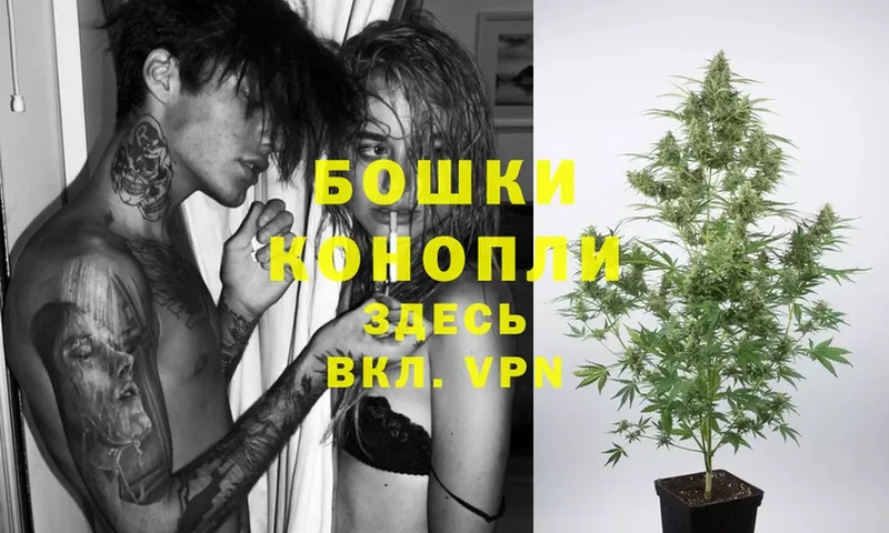 Шишки марихуана Ganja  Троицк 